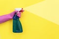 Woman holding detergent spray bottle in her hand Royalty Free Stock Photo