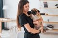 Woman holding the dog in hands. Pug is in the grooming salon with veterinarian that is in black clothes Royalty Free Stock Photo