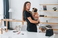 Woman holding the dog in hands. Pug is in the grooming salon with veterinarian that is in black clothes Royalty Free Stock Photo