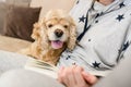 Woman holding a dog in her arms and reading a book Royalty Free Stock Photo