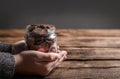 Woman holding donation jar with coins at wooden table. Space for text Royalty Free Stock Photo