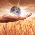 Woman holding the earth globe Royalty Free Stock Photo