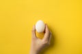 cropped image of woman holding egg Royalty Free Stock Photo