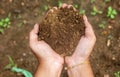 Woman holding farm mud in both hands Royalty Free Stock Photo