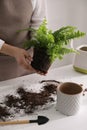 Woman holding fern above white table, closeup Royalty Free Stock Photo