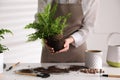 Woman holding fern above white table, closeup Royalty Free Stock Photo