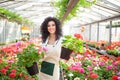 Woman holding flower pots Royalty Free Stock Photo