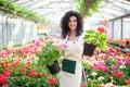 Woman holding flower pots Royalty Free Stock Photo