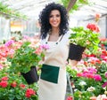 Woman holding flower pots Royalty Free Stock Photo