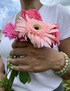 Woman holding flowers. Closeup of person with bouquet of pink daisy flower in hand Royalty Free Stock Photo