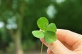 Woman holding four-leaf clover outdoors