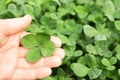 Woman holding four-leaf clover outdoors