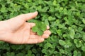 Woman holding four-leaf clover outdoors
