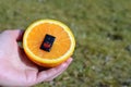 Woman holding a fresh juicy orange with inserted power switch. Royalty Free Stock Photo