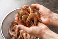 Woman holding fresh shrimps over colander Royalty Free Stock Photo