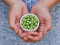 A woman holding freshly harvested green peas in a bowl in her hands Royalty Free Stock Photo