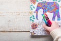 Woman holding gel pens, Adult coloring books, new stress relieving trend Royalty Free Stock Photo