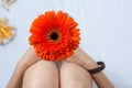 Woman holding a gerbera flower in bed Royalty Free Stock Photo