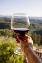 Woman holding a glass of red wine with beautiful landscape of Italy in a background on a sunny day. Royalty Free Stock Photo