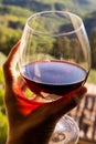 Woman holding a glass of red wine with beautiful landscape of Italy in a background on a sunny day. Royalty Free Stock Photo