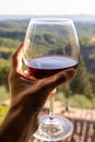 Woman holding a glass of red wine with beautiful landscape of Italy in a background on a sunny day. Royalty Free Stock Photo