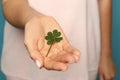 Woman holding green four leaf clover in hand, closeup Royalty Free Stock Photo