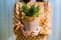 Woman holding green nephrolepis fern plant