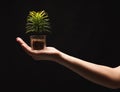 Woman holding green plant on black isolated background Royalty Free Stock Photo