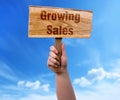 Growing sales wooden sign