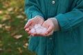 Woman holding hail grains after thunderstorm outdoors, closeup