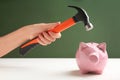 Woman holding hammer over piggy bank on color background Royalty Free Stock Photo