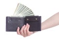 Woman holding in hand money dollars wallet Royalty Free Stock Photo