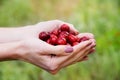 Woman holding in hand vitamin food fresh cherry.