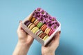 Woman holding in hands gift box with colorful french macaroons with flowers on bright blue background Royalty Free Stock Photo