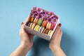 Woman holding in hands gift box with colorful french macaroons with flowers on bright blue background Royalty Free Stock Photo