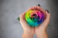 Woman holding hands like heart with rainbow rose inside. Valentine`s postcard. Women`s day. St. Valetine`s day. Royalty Free Stock Photo