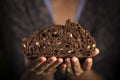 Woman holding in her hands a home made black bread from chocolate and nuts Royalty Free Stock Photo
