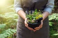 Woman holding in her hands a mortar of medicinal herbs. Herbalist woman gathering healing plants in forest Royalty Free Stock Photo