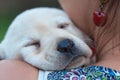 Woman holding her sleeping new puppy dog on her shoulders - close up Royalty Free Stock Photo