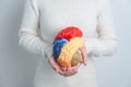 Woman holding human Brain model. World Brain Tumor day, Brain Stroke, Dementia, alzheimer, parkinson and world mental health Royalty Free Stock Photo