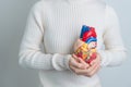 Woman holding human Heart model. Cardiovascular Diseases, Atherosclerosis, Hypertensive Heart, Valvular Heart, Aortopulmonary