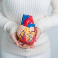 Woman holding human Heart model. Cardiovascular Diseases, Atherosclerosis, Hypertensive Heart, Valvular Heart, Aortopulmonary