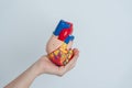 Woman holding human Heart model. Cardiovascular Diseases, Atherosclerosis, Hypertensive Heart, Valvular Heart, Aortopulmonary