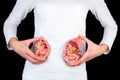 Woman holding kidney model at white body