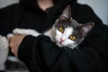 A woman is holding a kitten in her arms. The kitten is gray and white. The woman is wearing a black hoodie. Royalty Free Stock Photo