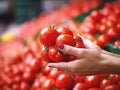 Woman is holding large bunch of red tomatoes in her hands. She has two fingers on one hand and three fingers on other hand, as Royalty Free Stock Photo