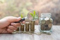 Woman  holding magnifying glass with coin and tree growing. coins business growth.Hand holding magnifying glass with Money growing Royalty Free Stock Photo