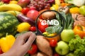 Woman holding magnifying glass over fresh vegetables and fruits, closeup. GMO concept Royalty Free Stock Photo