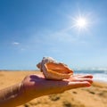 Woman holding a marine shell on palm on sea beach background Royalty Free Stock Photo