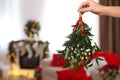 Woman holding mistletoe bunch in room with Christmas decorations, closeup. Space for text Royalty Free Stock Photo